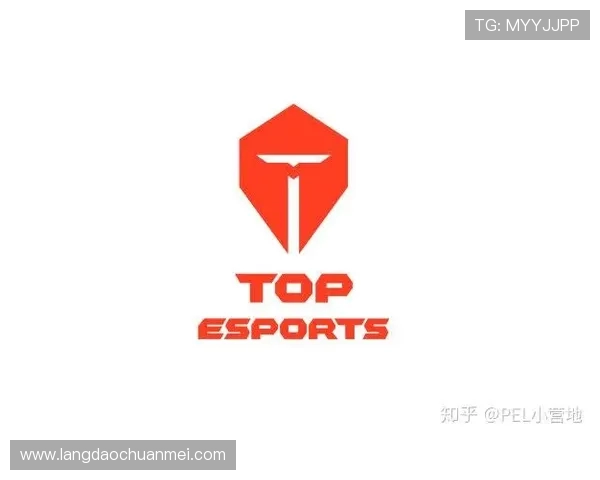 和平精英纪实：TES战队的荣耀与挑战之路全景回顾