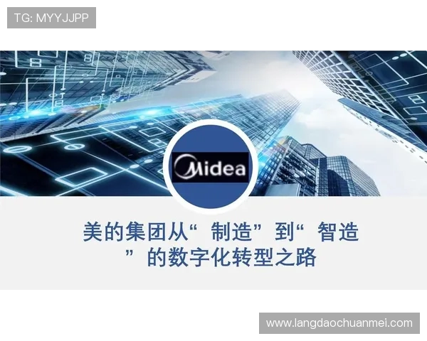 重庆排球队的转型之路揭秘：从传统强队到现代竞技新标杆