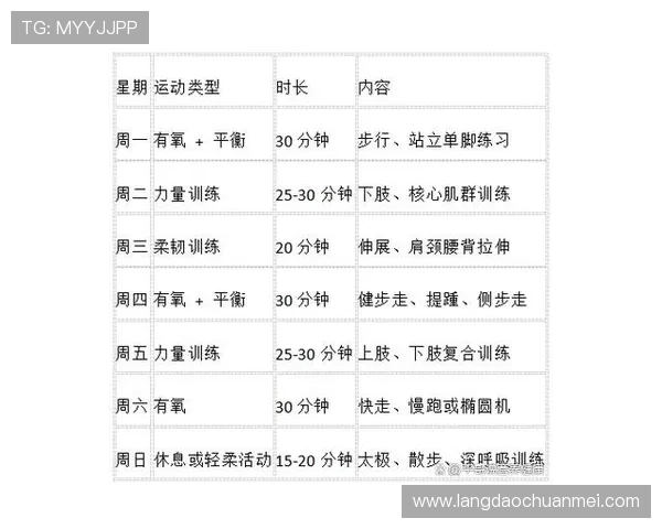 打造健康体魄与强健肌肉的全方位健身计划 从新手到达人全程指导